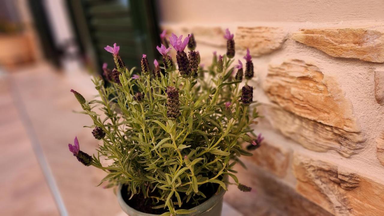 Appartamento Pieri House Corfu Ipsos Esterno foto